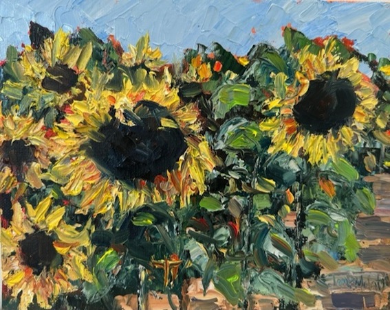 Jane MacIntosh |Sunflowers| McATamney Gallery and design store | Geraldine NZ